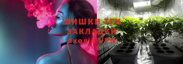 mdpv Богородск