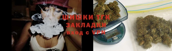 mdpv Богородск