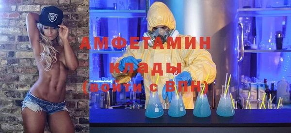 твердый Бородино
